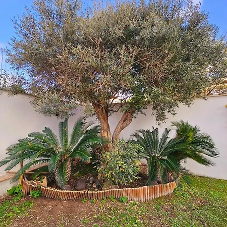 Oasi Di Greta - Fiumicino